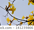 Koganenouzen Koganenouzen 141239866