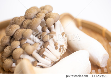 什錦蘑菇 什錦蘑菇 141239880