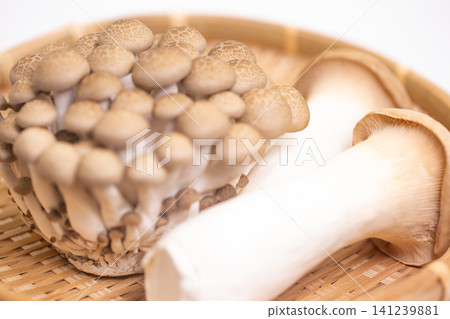 什錦蘑菇 什錦蘑菇 141239881