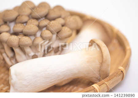 什錦蘑菇 什錦蘑菇 141239890