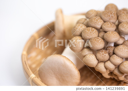 什錦蘑菇 什錦蘑菇 141239891
