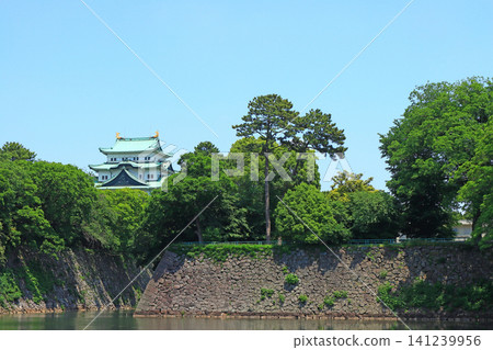 在愛知縣名古屋市,名古屋城掩映在綠樹叢中,景色宜人。 在愛知縣名古屋市,名古屋城掩映在綠樹叢中,景色宜人。 141239956