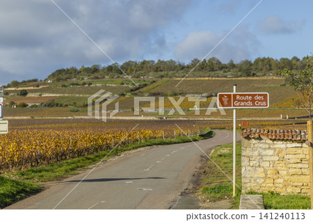Route des Grands Crus sign, Bourgogne vineyard landscape Route des Grands Crus sign, Bourgogne vineyard landscape 141240113