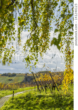 Hunawihr vineyard in autumn with church steeple 141240123