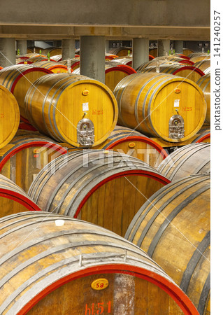 Large wine barrels aging in a Piedmont cellar Large wine barrels aging in a Piedmont cellar 141240257
