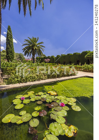 Alhambra gardens pond with blooming water lilies Alhambra gardens pond with blooming water lilies 141240278