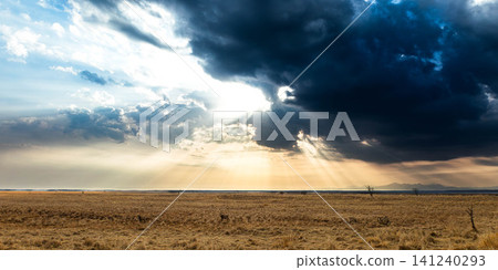 A view from the Notsuke Peninsula in Betsukai Town, Hokkaido, where rays of light shine through gaps in the clouds. A view from the Notsuke Peninsula in Betsukai Town, Hokkaido, where rays of light shine through gaps in the clouds. 141240293