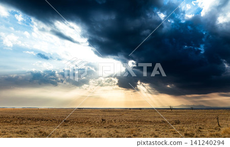 A view from the Notsuke Peninsula in Betsukai Town, Hokkaido, where rays of light shine through gaps in the clouds. A view from the Notsuke Peninsula in Betsukai Town, Hokkaido, where rays of light shine through gaps in the clouds. 141240294