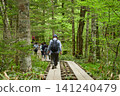 Scenes of the lush green forests and tourists in Kamikochi, a popular tourist spot in early summer. 141240479