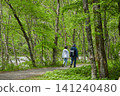 Scenes of the lush green forests and tourists in Kamikochi, a popular tourist spot in early summer. 141240480