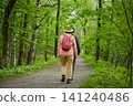 Scenes of the lush green forests and tourists in Kamikochi, a popular tourist spot in early summer. 141240486