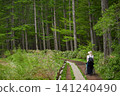 Scenes of the lush green forests and tourists in Kamikochi, a popular tourist spot in early summer. 141240490