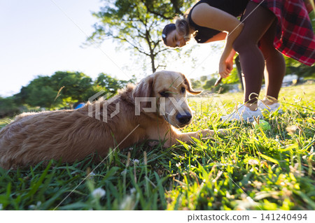 Golden retriever lying on grass while a woman in a black top and plaid skirt bends down to interact with the dog in a sunny park setting Golden retriever lying on grass while a woman in a black top and plaid skirt bends down to interact with the dog in a sunny park setting 141240494