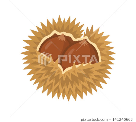 Chestnut, flat illustration Chestnut, flat illustration 141240663