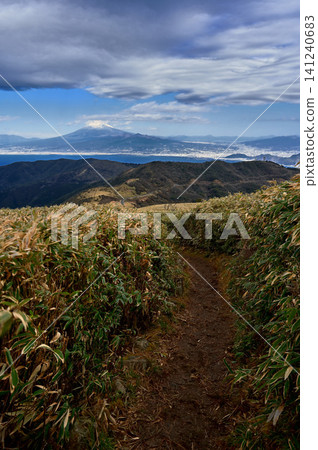 Mount Fuji as seen from the ridge trail through the bamboo grass fields of Mt. Daruma on the Izu Peninsula. Mount Fuji as seen from the ridge trail through the bamboo grass fields of Mt. Daruma on the Izu Peninsula. 141240683