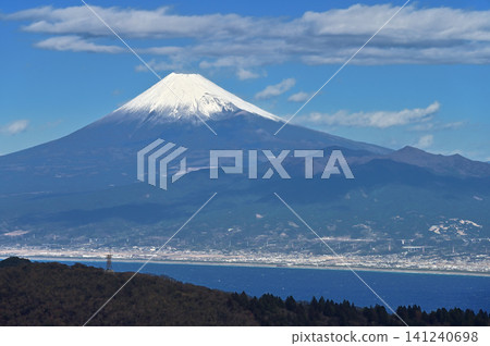 The snow-capped Mt. Fuji and Mt. Ashitaka as seen from Mt. Kodaruma on the Izu Ridge Trail of the Izu Peninsula. 141240698