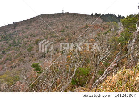 伊豆半島伊豆山脊步道:冬季金冠山 伊豆半島伊豆山脊步道:冬季金冠山 141240807