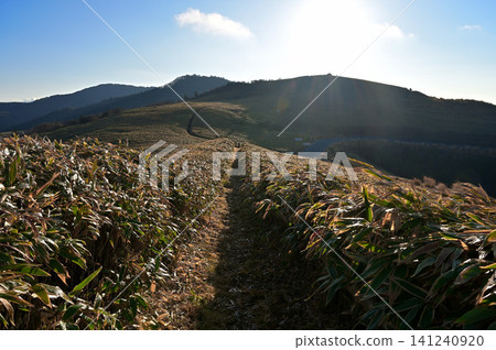 Izu Peninsula, Izu Mountain Ridge Trail, Nishina Pass Traverse Route, Gotoyama Mountain and Nishina Pass Observation Deck Izu Peninsula, Izu Mountain Ridge Trail, Nishina Pass Traverse Route, Gotoyama Mountain and Nishina Pass Observation Deck 141240920
