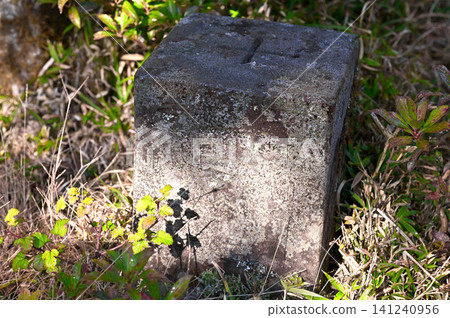 Izu Peninsula, Mt. Misoudai summit, third-class triangulation point (Odoro) Izu Peninsula, Mt. Misoudai summit, third-class triangulation point (Odoro) 141240956