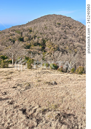 從鞍部草地上眺望伊豆半島、伊豆山脊步道、禦尾台。 141240960