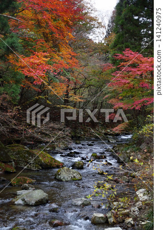 浪漫的茨城(沿著花園川逆流而上,追尋秋葉,即可到達花園谷。)北茨城市 浪漫的茨城(沿著花園川逆流而上,追尋秋葉,即可到達花園谷。)北茨城市 141240975