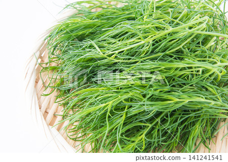 Okahijiki from Yamagata Prefecture Okahijiki from Yamagata Prefecture 141241541