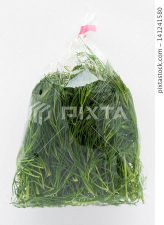 Okahijiki seaweed from Yamagata Prefecture, packaged in a bag. Okahijiki seaweed from Yamagata Prefecture, packaged in a bag. 141241580