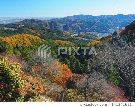 Autumn view from Sakurayama Park in Fujioka City Autumn view from Sakurayama Park in Fujioka City 141241651