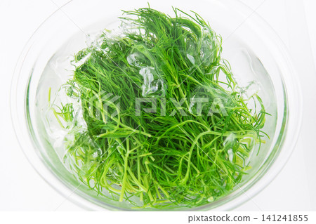 Boiled sea beans in cold water to bring out their color. Boiled sea beans in cold water to bring out their color. 141241855