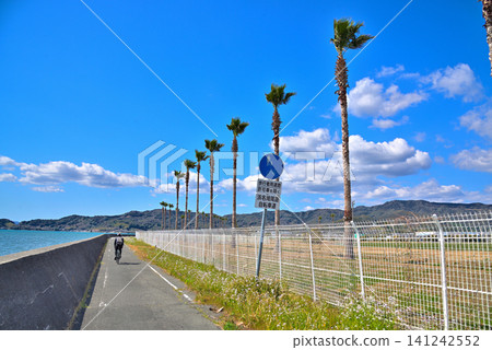 Hamana Lake Cycling Route (Shizuoka Prefecture) Hamana Lake Cycling Route (Shizuoka Prefecture) 141242552