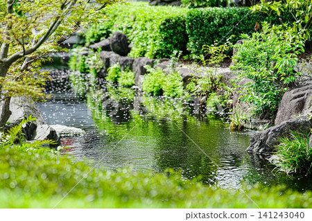 淺草寺:櫻花花瓣散落在水面上,初夏的翠綠景色令人心曠神怡。 淺草寺:櫻花花瓣散落在水面上,初夏的翠綠景色令人心曠神怡。 141243040