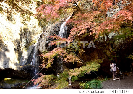Tsukimachi Falls (Urami Falls) and Autumn Leaves in Daigo Town, Ibaraki Prefecture Tsukimachi Falls (Urami Falls) and Autumn Leaves in Daigo Town, Ibaraki Prefecture 141243124