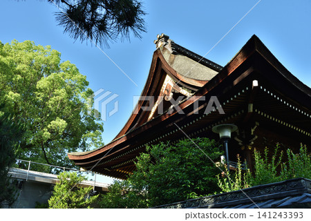 藤森神社,從側面看正殿(京都市伏見區) 藤森神社,從側面看正殿(京都市伏見區) 141243393