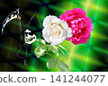 Red Rose Flower 141244077
