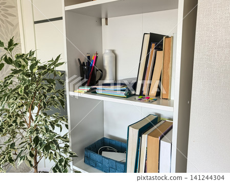 Organized White Bookshelf with Ficus Plant and Office Supplies Organized White Bookshelf with Ficus Plant and Office Supplies 141244304