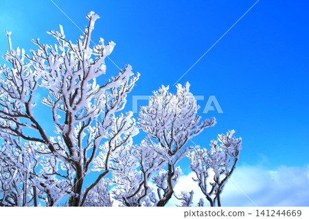 Hoarfrost (winter image) Hoarfrost (winter image) 141244669