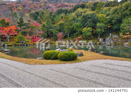 Autumn at Sogenchi Garden, Tenryu-ji Temple, Kyoto (Ukyo-ku, Kyoto City, Kyoto Prefecture) Autumn at Sogenchi Garden, Tenryu-ji Temple, Kyoto (Ukyo-ku, Kyoto City, Kyoto Prefecture) 141244791