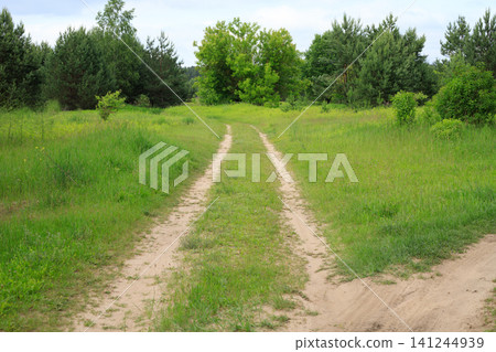 Rural unpaved sandy road tracks cutting through green meadow, lush summer field with forest in background, countryside landscape Rural unpaved sandy road tracks cutting through green meadow, lush summer field with forest in background, countryside landscape 141244939