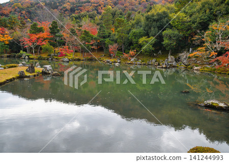 京都市天龍寺曹源地庭園的秋天(京都府京都市右京區) 京都市天龍寺曹源地庭園的秋天(京都府京都市右京區) 141244993