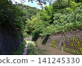 在前田川長廊(神奈川縣橫須賀市) 在前田川長廊(神奈川縣橫須賀市) 141245330