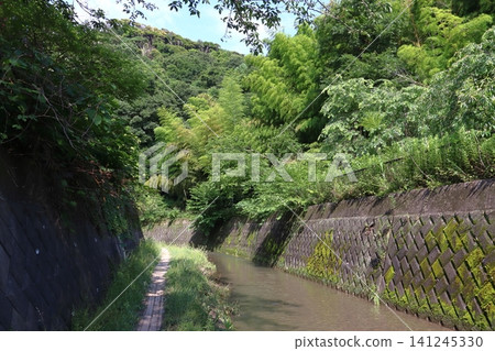 At the Maedagawa Promenade (Yokosuka City, Kanagawa Prefecture) At the Maedagawa Promenade (Yokosuka City, Kanagawa Prefecture) 141245330
