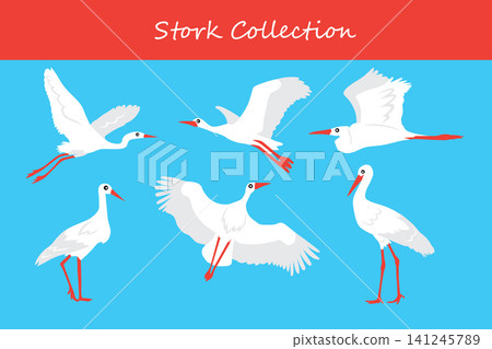 stork collection. stork in different poses stork collection. stork in different poses 141245789