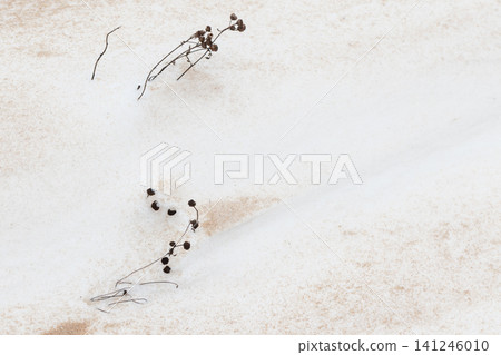 Minimal composition of dried seedheads and delicate twigs Minimal composition of dried seedheads and delicate twigs 141246010