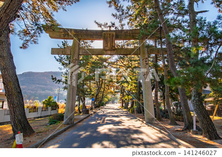 陽光透過樹木和一排排松樹灑在岡山縣岡山市吉備津神社的第二座鳥居上，顯得格外美麗。 141246027