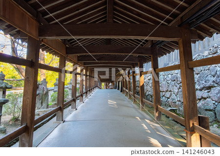 The historical corridor of Kibitsu Shrine stretches far into the distance in Okayama City, Okayama Prefecture. The historical corridor of Kibitsu Shrine stretches far into the distance in Okayama City, Okayama Prefecture. 141246043