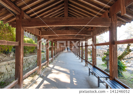 岡山縣岡山市的吉備津神社歷史長廊一直延伸到很遠的地方。 141246052