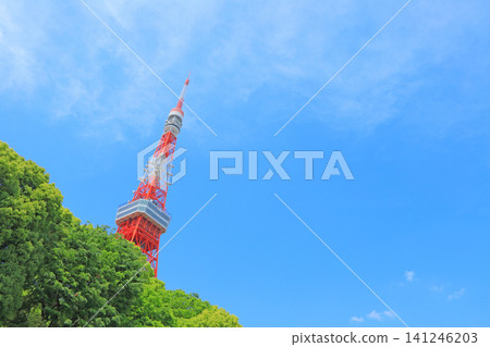 東京鐵塔和東京港區的新鮮綠地 東京鐵塔和東京港區的新鮮綠地 141246203