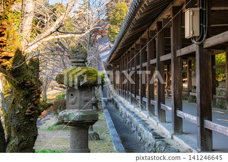 Okayama City, Okayama Prefecture: Moss-covered stone lanterns and the beautiful corridor of Kibitsu Shrine that stretches into the distance. Okayama City, Okayama Prefecture: Moss-covered stone lanterns and the beautiful corridor of Kibitsu Shrine that stretches into the distance. 141246645