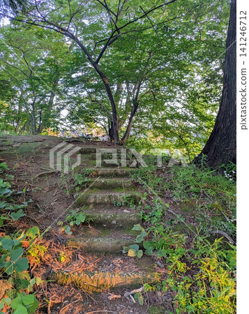 Stairs in a moss-covered mountain Stairs in a moss-covered mountain 141246712