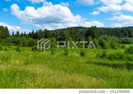 Lush Green Meadow Under Bright Blue Sky with Fluffy Clouds and Forested Hills in the Background, Capturing the Essence of Nature's Beauty and Serenity Lush Green Meadow Under Bright Blue Sky with Fluffy Clouds and Forested Hills in the Background, Capturing the Essence of Nature's Beauty and Serenity 141246800